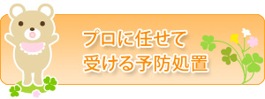 プロに任せて受ける予防処置