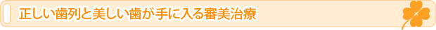 正しい歯列と美しい歯が手に入る審美治療